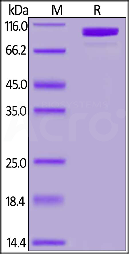 CO2-H52H7-sds