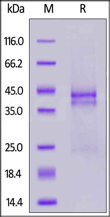 CTF-H52H5-sds