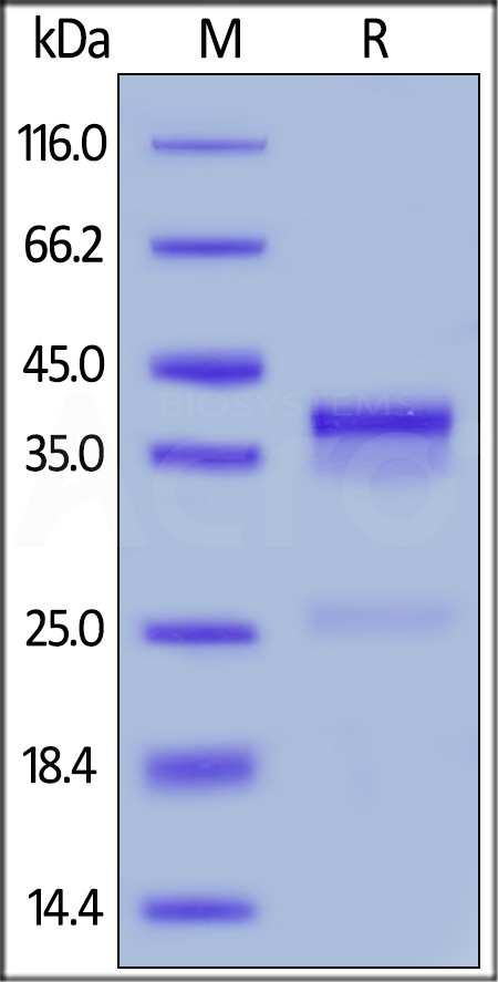 CTF-M52Hc-sds