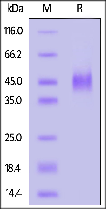 E8L-M52H4-sds