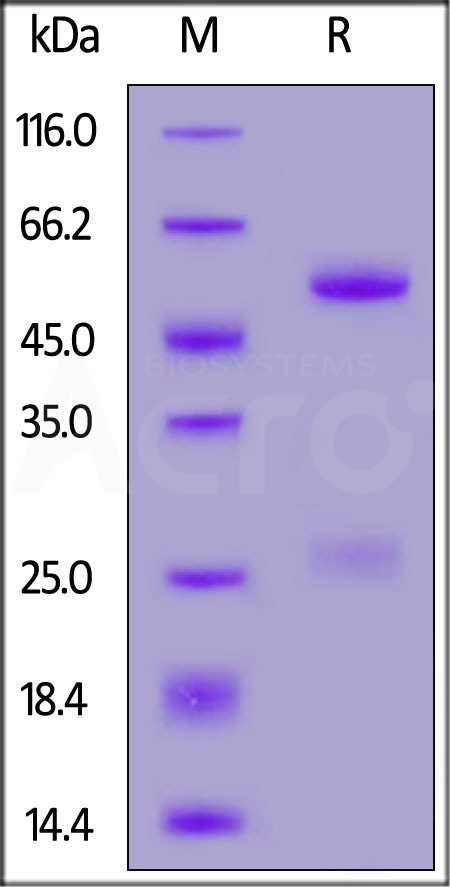 FM3-S93-sds