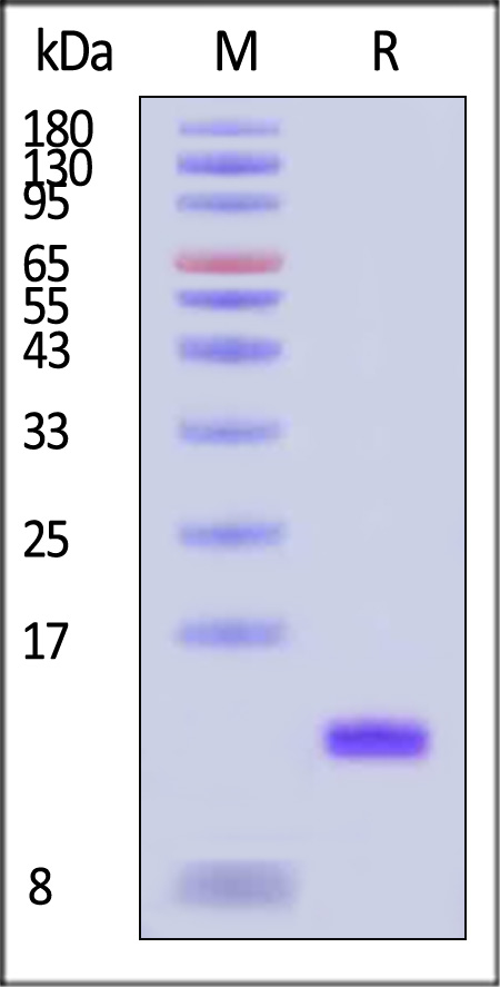 GD2-H5211-sds