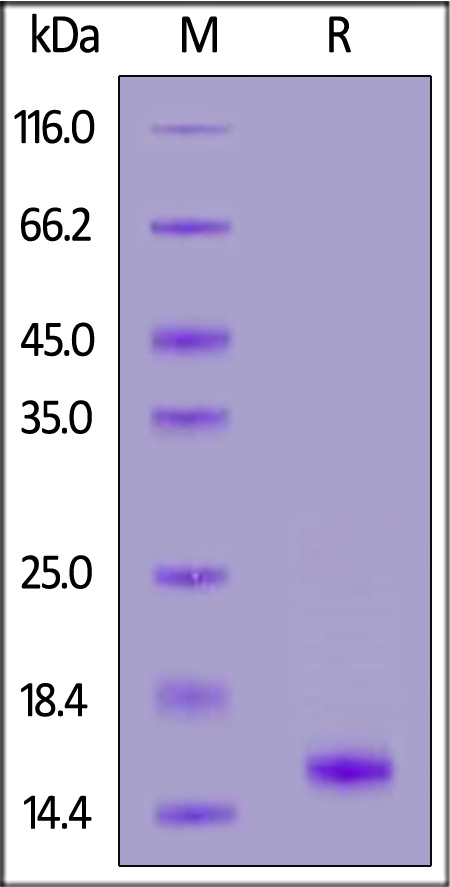 GD5-C5148-sds