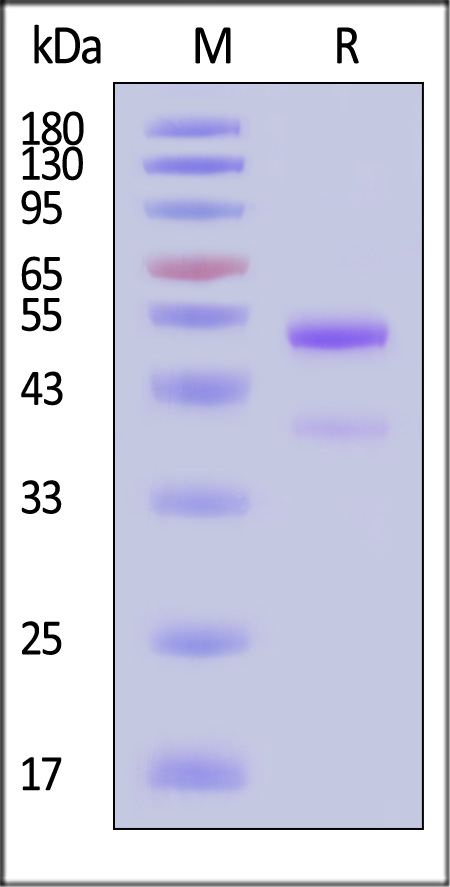 GD8-M82Q3-sds