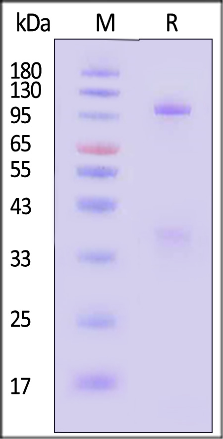 GHL-H5283-sds