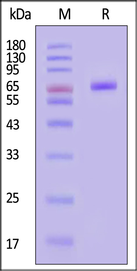 GP1-H82E3-sds