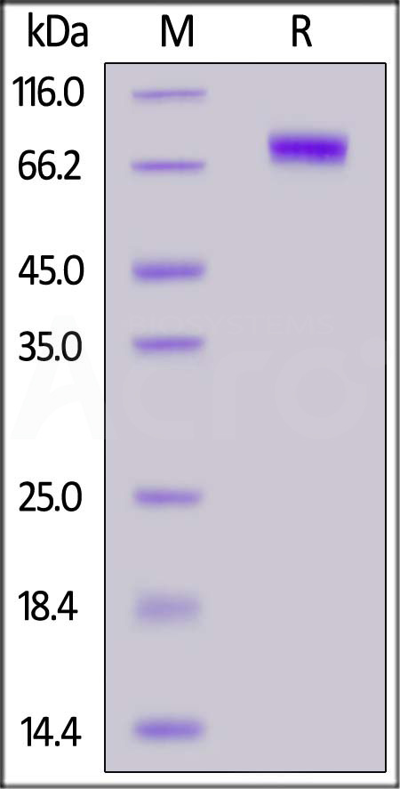 HA1-V5229-sds