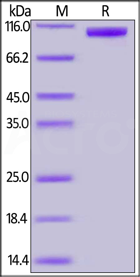 HA9-V5253-sds