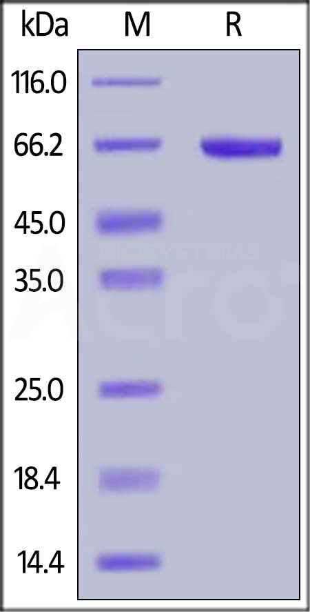 HSA-H82E3-sds