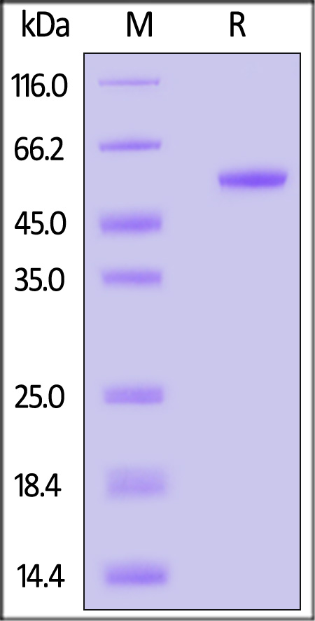 ILB-H82F1-sds