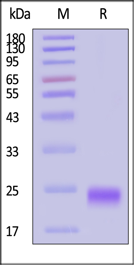 ILF-H4240-sds