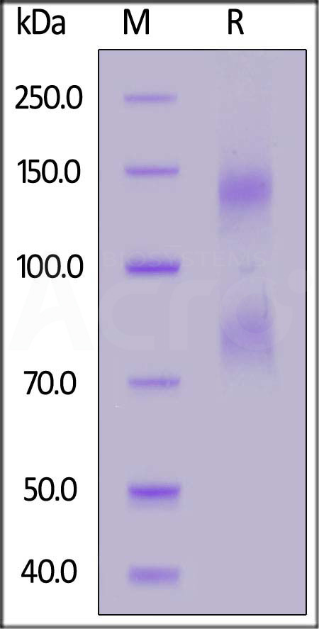 ILG-M5253-sds