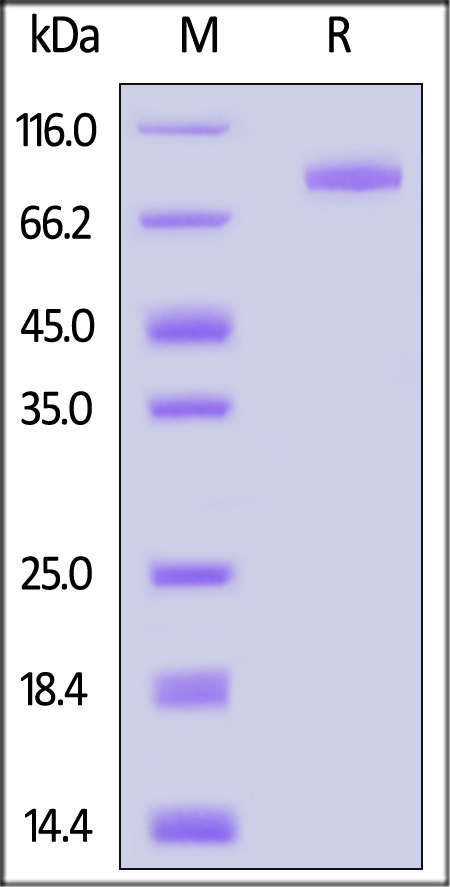 ILP-H82F5-sds