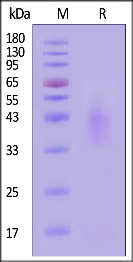 ILR-H5221-sds