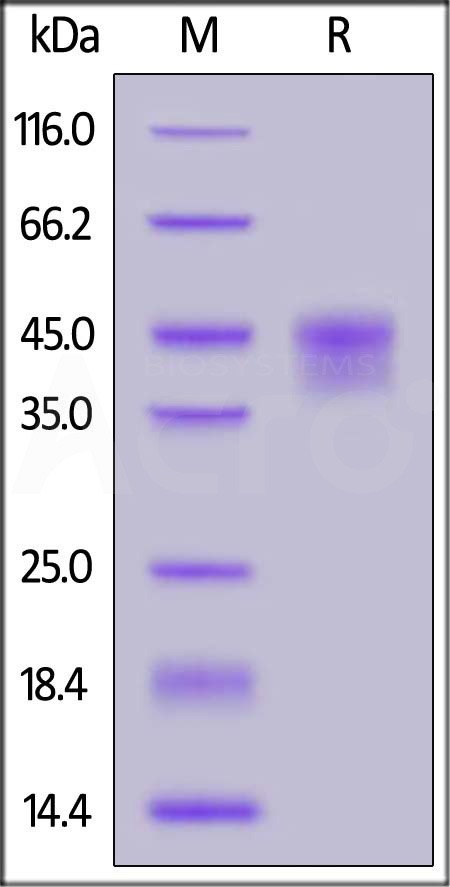 ILR-H5226-sds