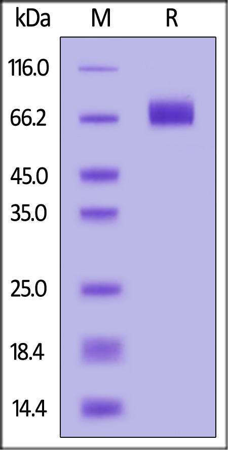 ILR-H82F6-sds