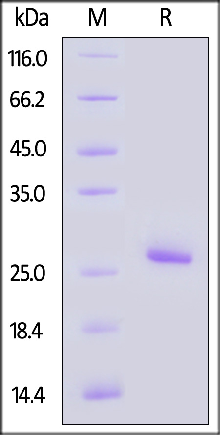 KRS-H5144-sds