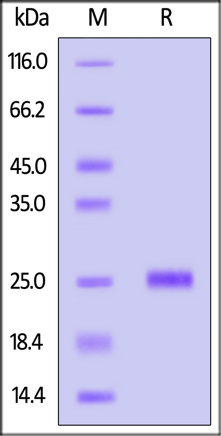 KRS-H51H4-sds