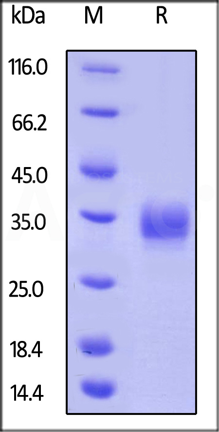 LA1-H82E3-sds