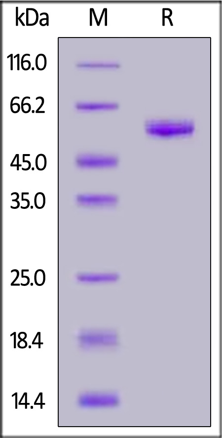 LA1-H82F5-sds