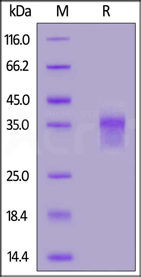 LI4-HF2H3-sds