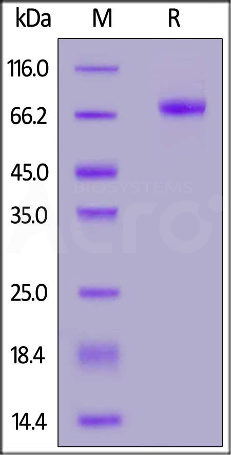 LR5-H82E4-sds