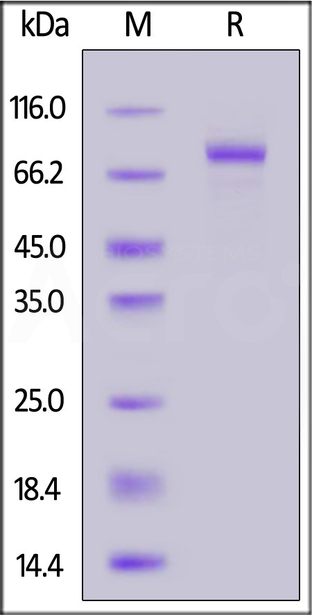 LR5-M82E6-sds