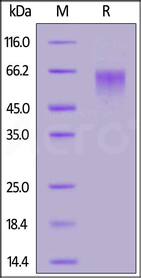 LV1-H82E3-sds