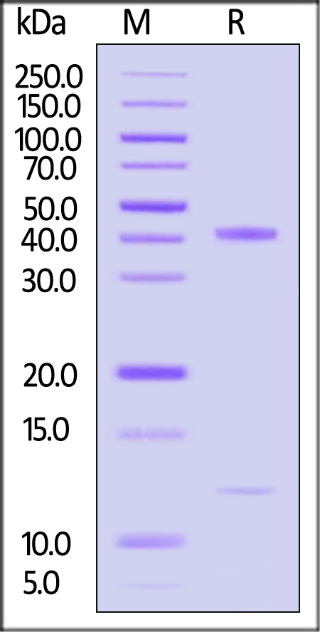 MRM-H82W5-sds