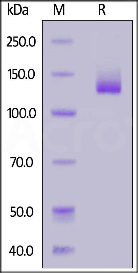 NC1-HF256-sds