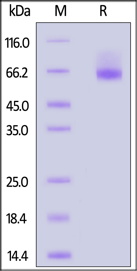 NOR-H52H3-sds