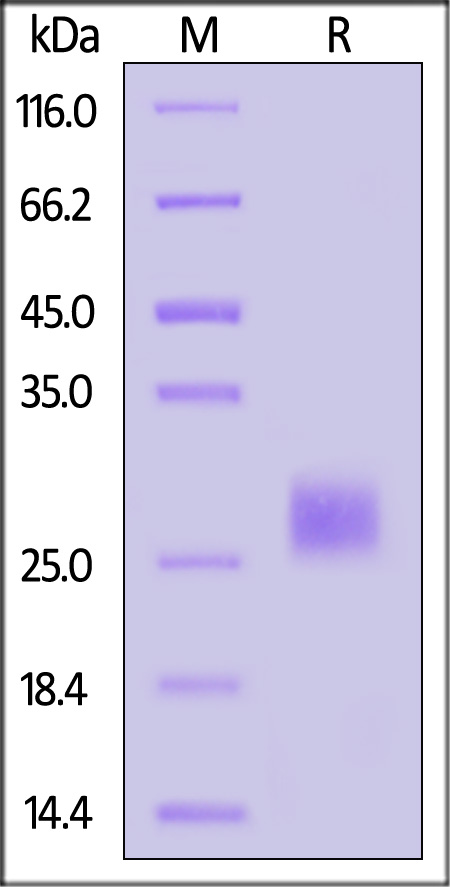 OSM-H5214-sds