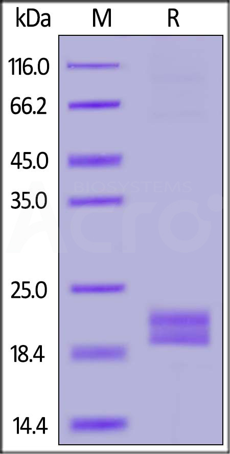 PDL-H82E4-sds