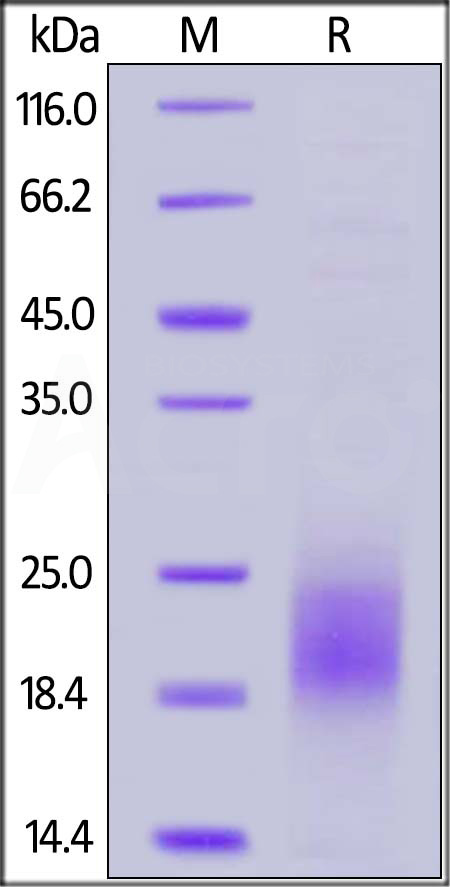 PSA-H52H6-sds