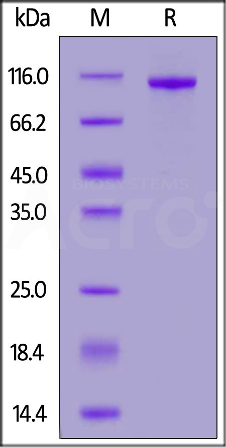 PT7-H52H3-sds