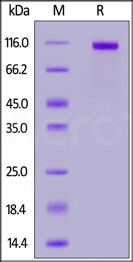 PT7-H82E5-sds