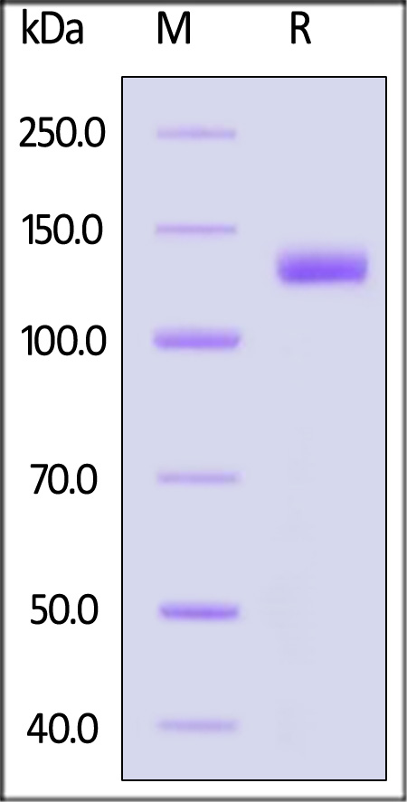 PT7-H82F5-sds