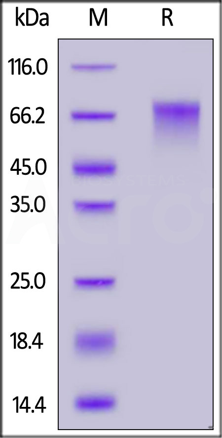 PV3-H52E4-sds