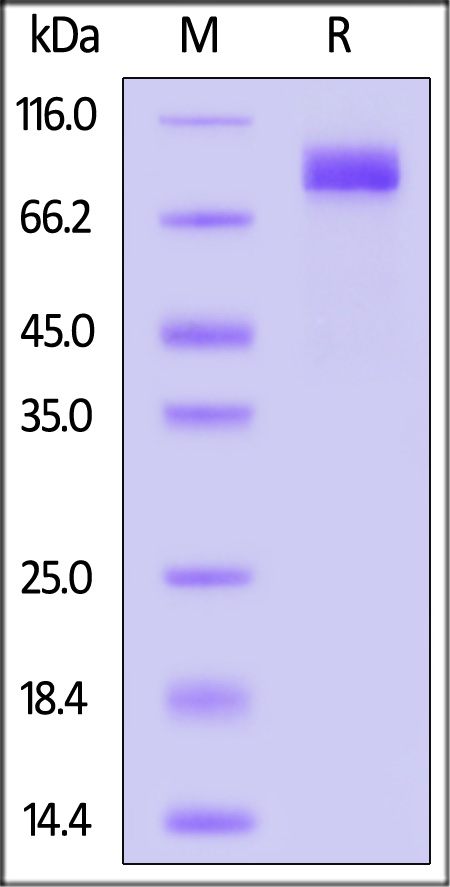 PV3-H82F3-sds