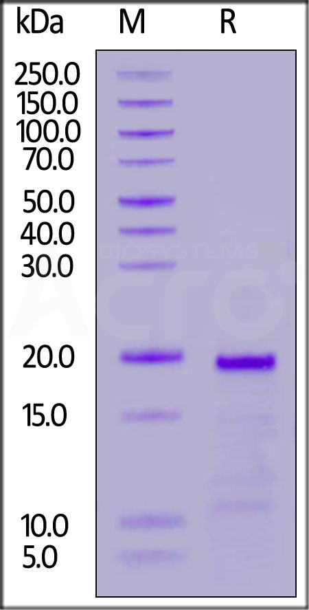 TOA-H5117-sds