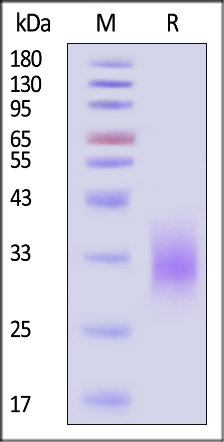 TR2-H82E7-sds