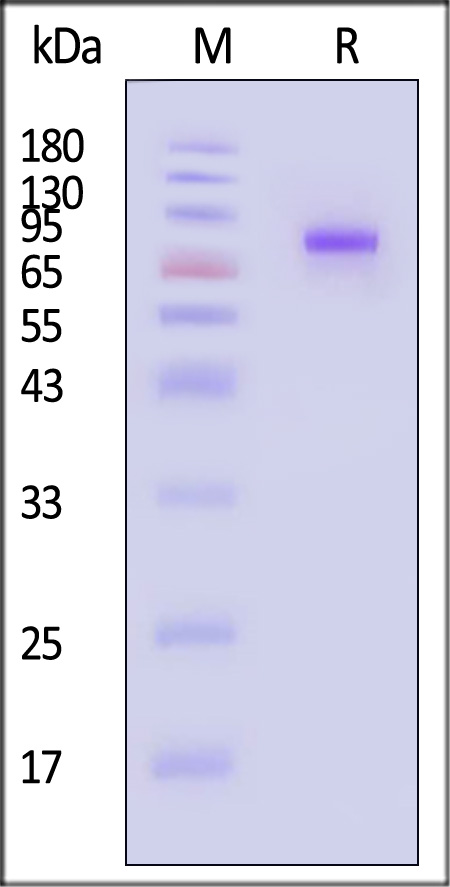 TR2-M82F3-sds