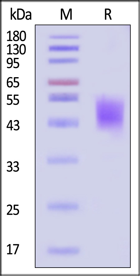 TR2-R82E7-sds