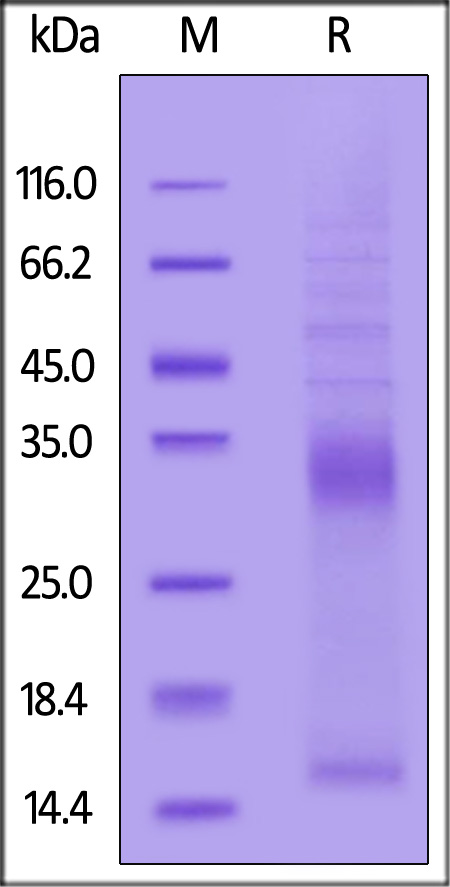 VE6-H5225-sds