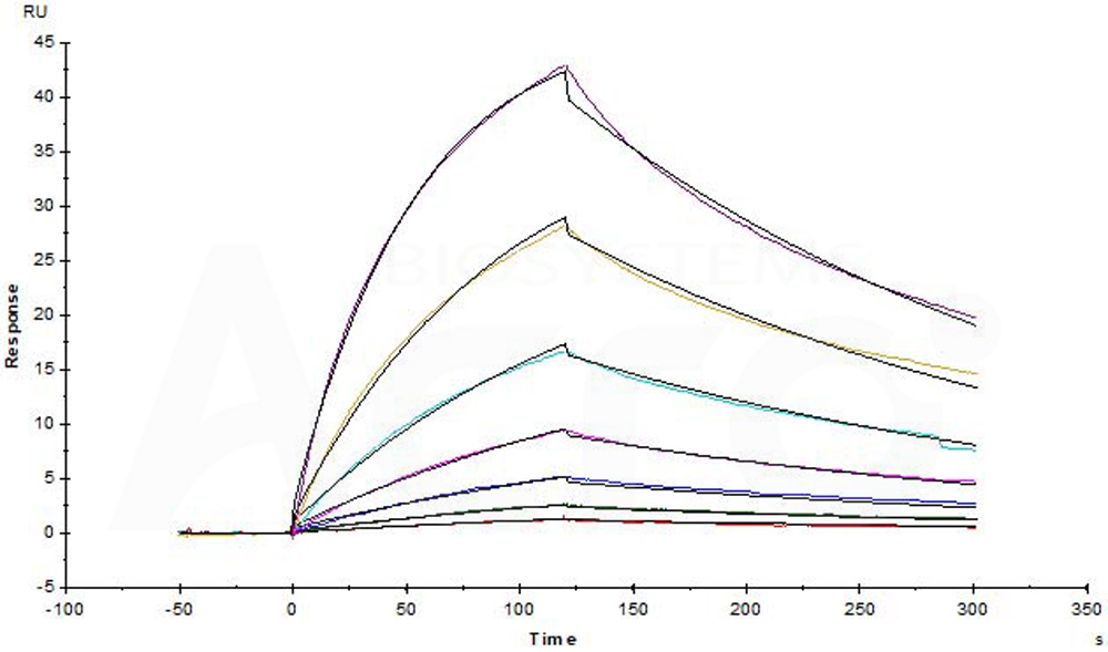  CD3E & CD3D SPR