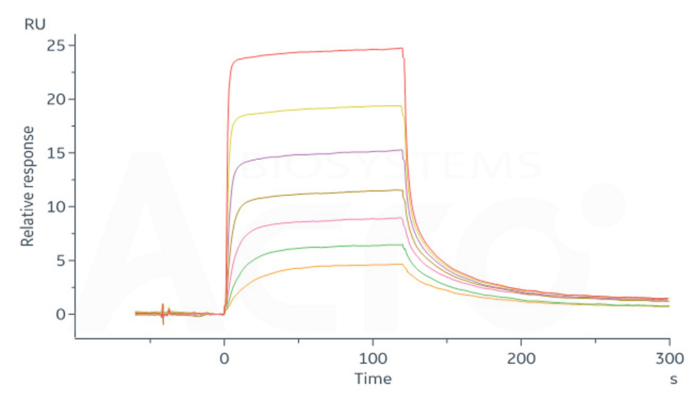  CD3E & CD3D SPR