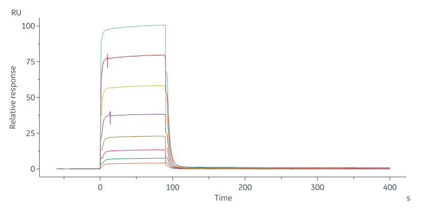  CD3E & CD3G SPR