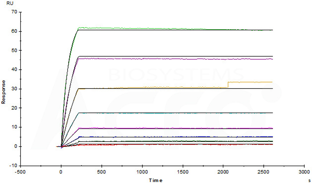  Cetuximab SPR