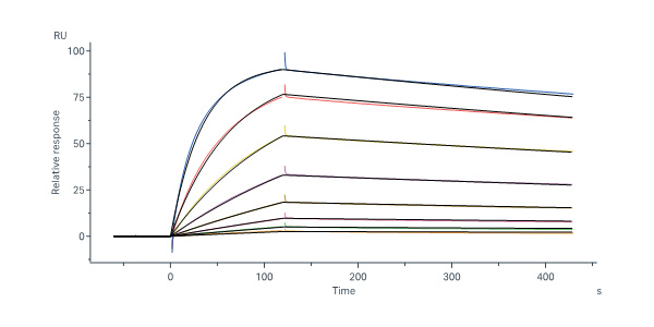  Glycoprotein E (VZV) SPR