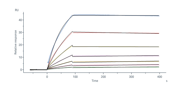  Glycoprotein (RABV) SPR